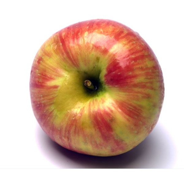 Honeycrisp Apples - 5 lb bag