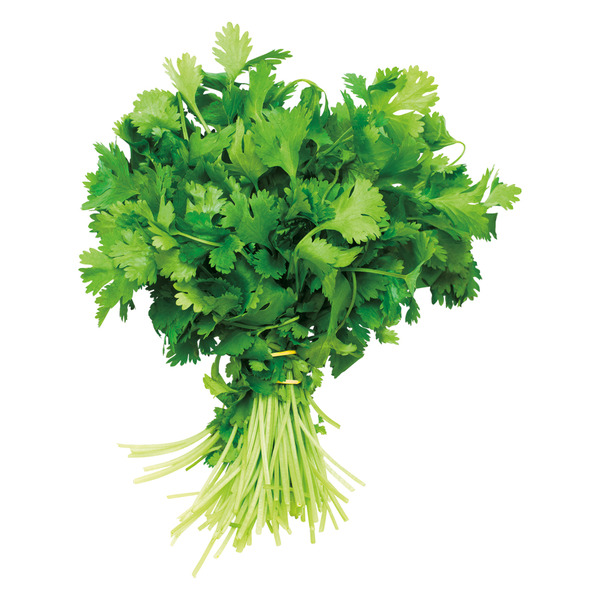 Cilantro, Package