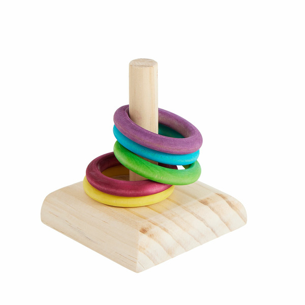 All Living Things Ring Toss Bird Toy