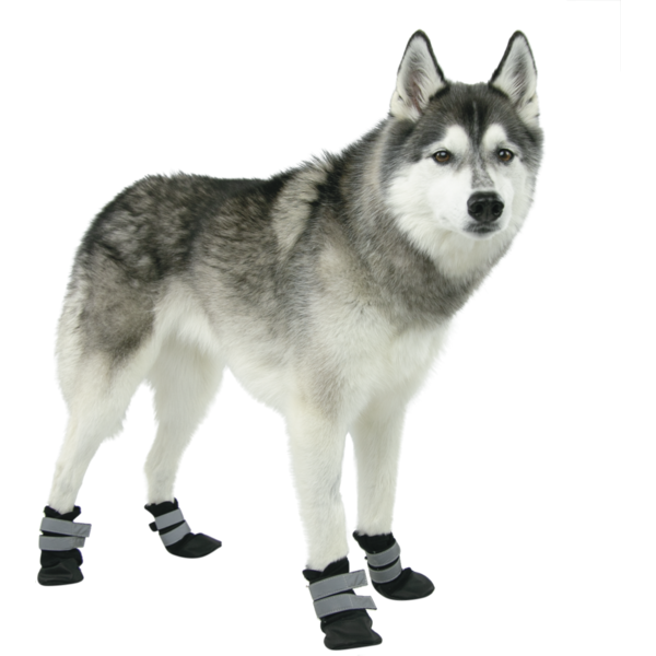 Play On Fall 25 Reflect Dog Apparel Booties, XL - Black