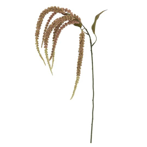 Ashland Toasted Amaranthus Stem