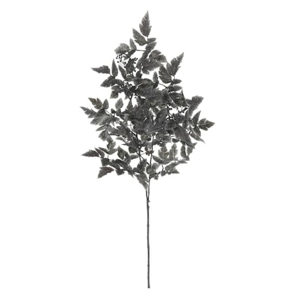 Ashland Black Cimicifuga Leaf Stem