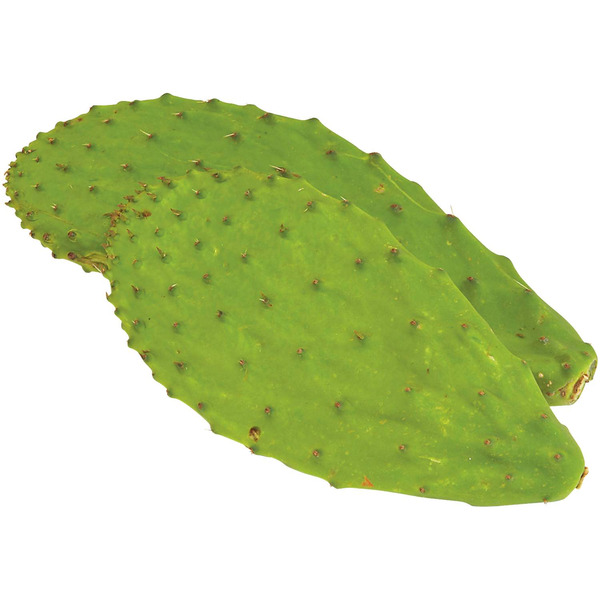 Cactus Leaves Nopales