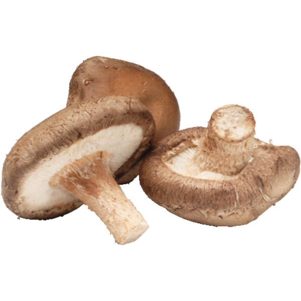 Organic Shiitake Mushrooms