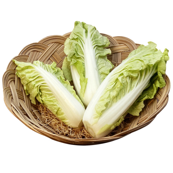 Brussels Sprouts