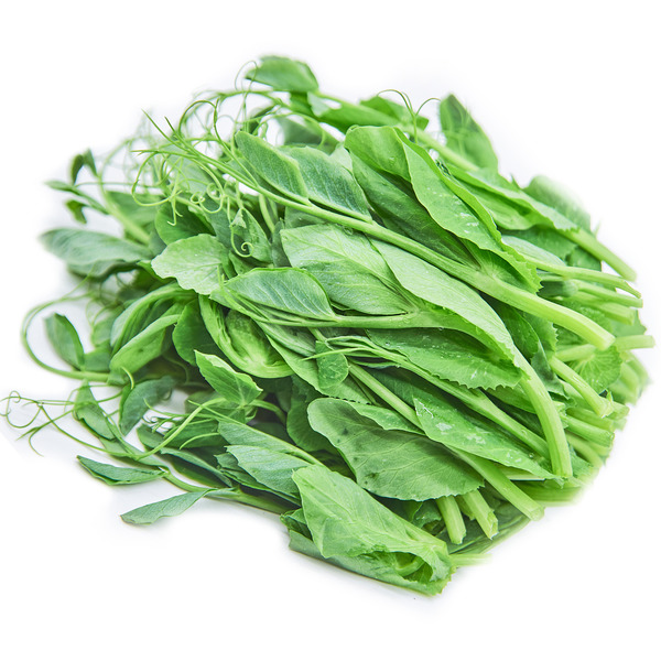 Snow Pea Leaf