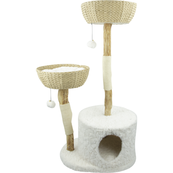 Play On Boxed Perch & Play Tree Cat Furniture