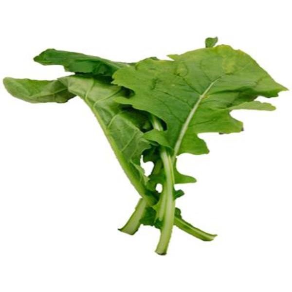 Mustard Greens (Gai Choy) Bunch
