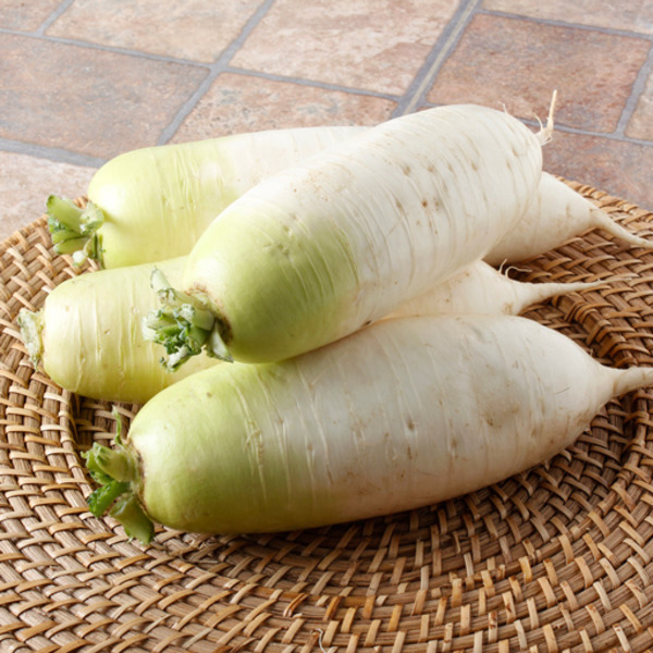 Daikon Radish