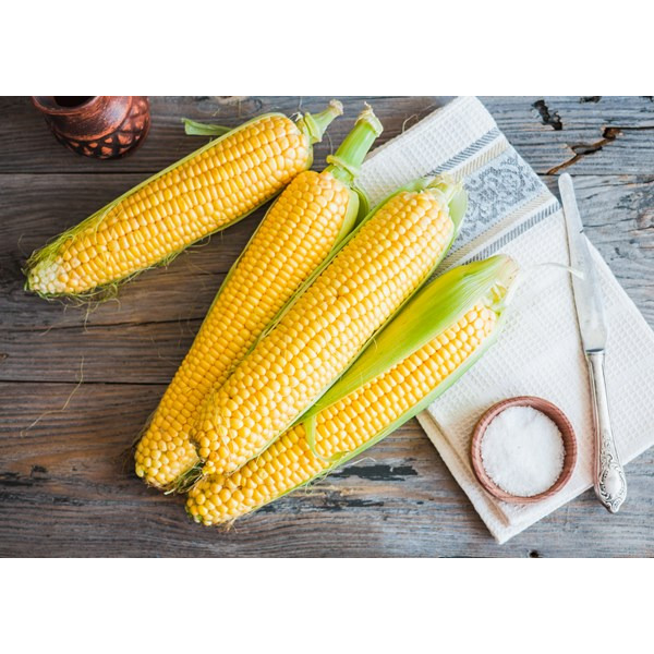 White Sweet Corn