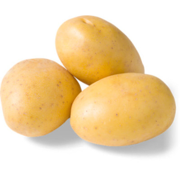 Instant Whip Tampa Inc Gold Potatoes Bulk