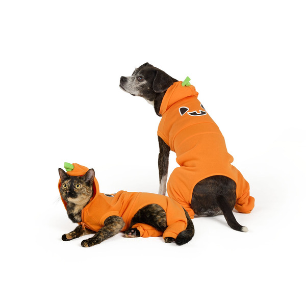 Thrills & Chills Dog & Cat Pumpkin Sweatsuit, L