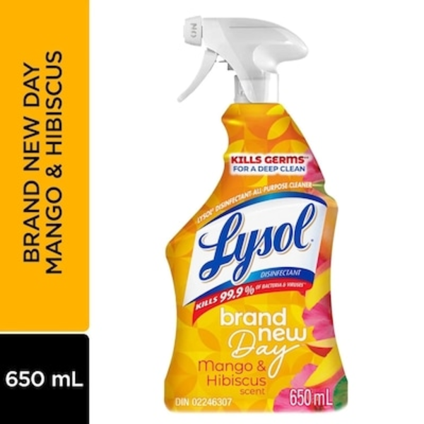 Trigger All Purpose Loblaws Lysol Hibiscus Mango Trigger All Purpose Cleaner Same-Day ...