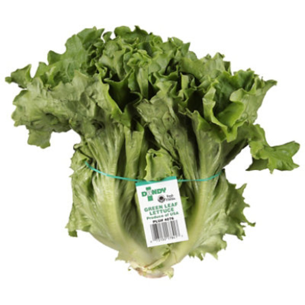 Tanimura & Antle Green Leaf Lettuce