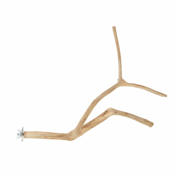 All Living Things Wood Multi Bird Perch - Java