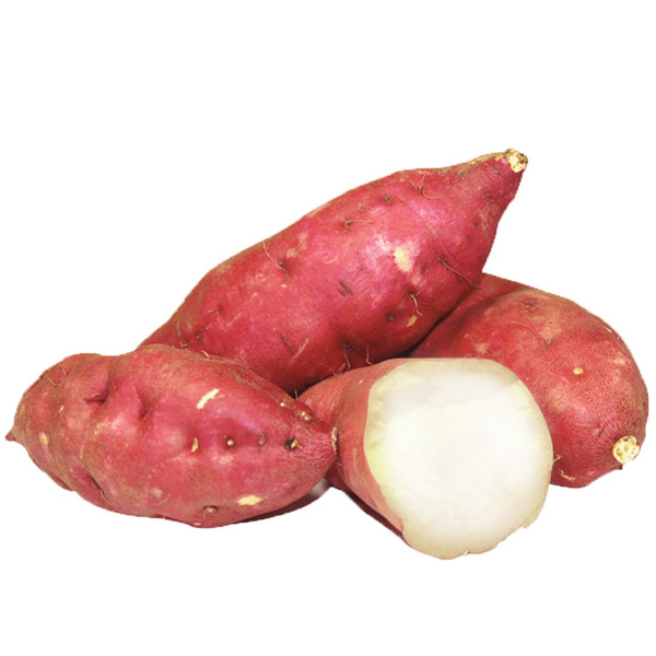 SWEET POTATO