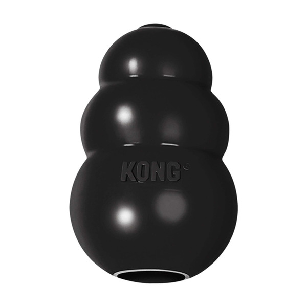 Kong Dog Toy, Chewers, Large
