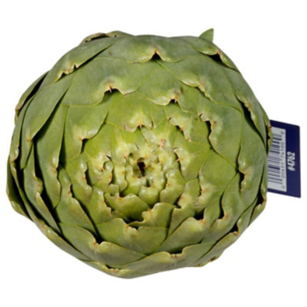 Artichoke XL