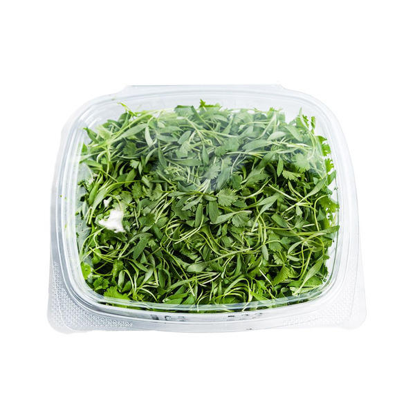 Micro Cilantro - 4 oz