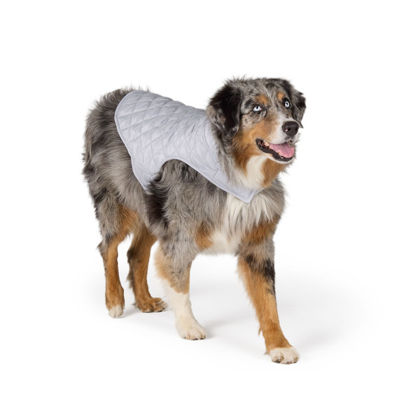 Top Paw Dog Puffer Coat, X Small - Grey