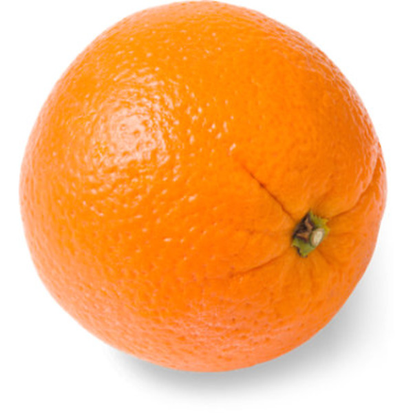 Navel Orange Large
