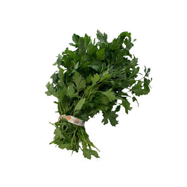 Little Bear Plain Parsley