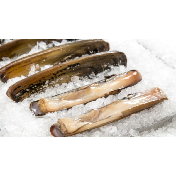 Wild Caught Razor Clam Same-Day Delivery or Pickup | Eataly