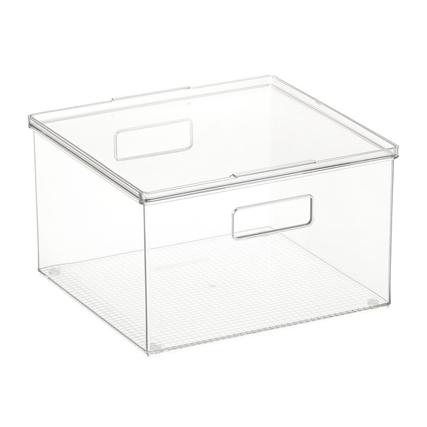 Everything Organizer Clear Box With Lid