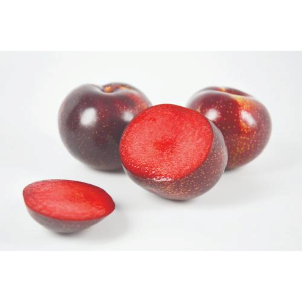 Hmc Farms Plumsicles, 2 LB Bag