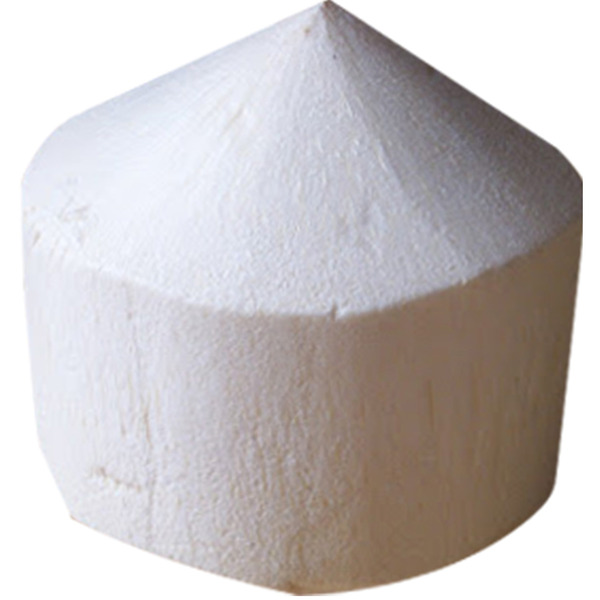 Young Coconut