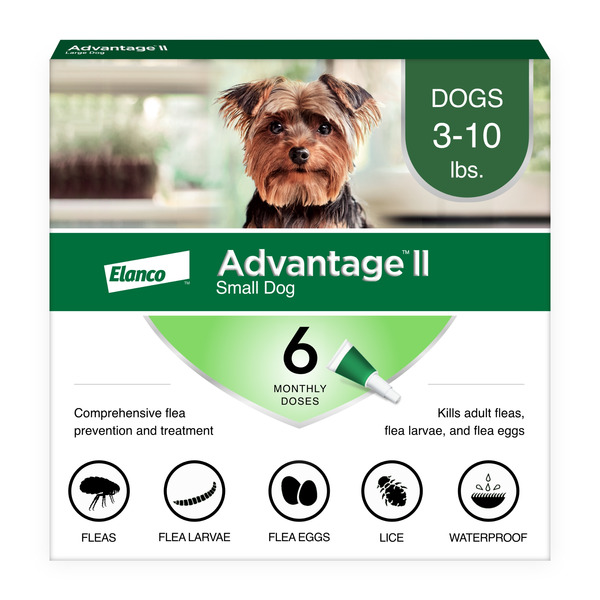 Advantage Flea Treatment & Prevention | Small Dogs 3-10lbs