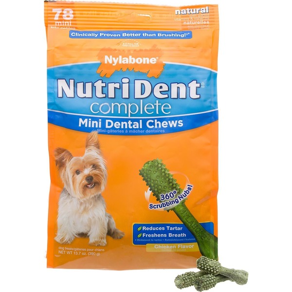 nylabone nutri dent complete
