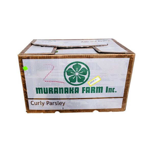 Parsley - Italian - 60 ct- 15 lb