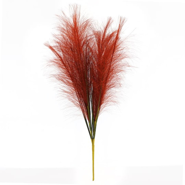 Ashland Pampas Grass Bush