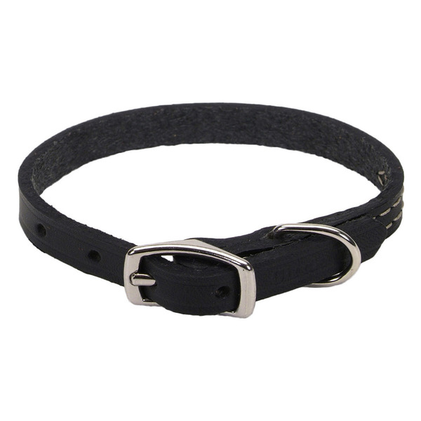 Coastal Pet 3/8" x 12" Black Circle T Oak Tanned Leather Town Dog Collar