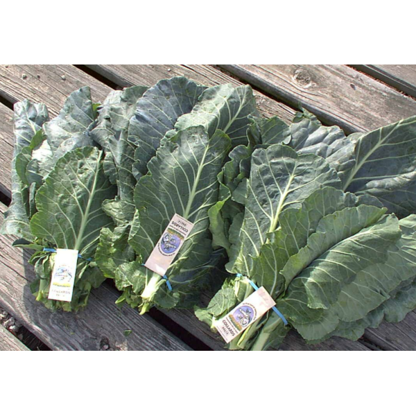 Collard Greens, 4 ct bag