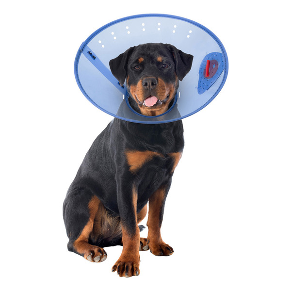 Calm Paws Behavior Support Calming E-Collar - Blue