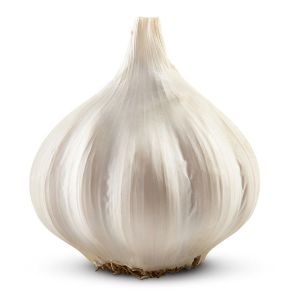 Sleeve Garlic Bulb