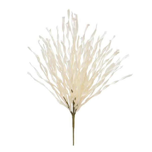 Ashland Cream Grass Bush