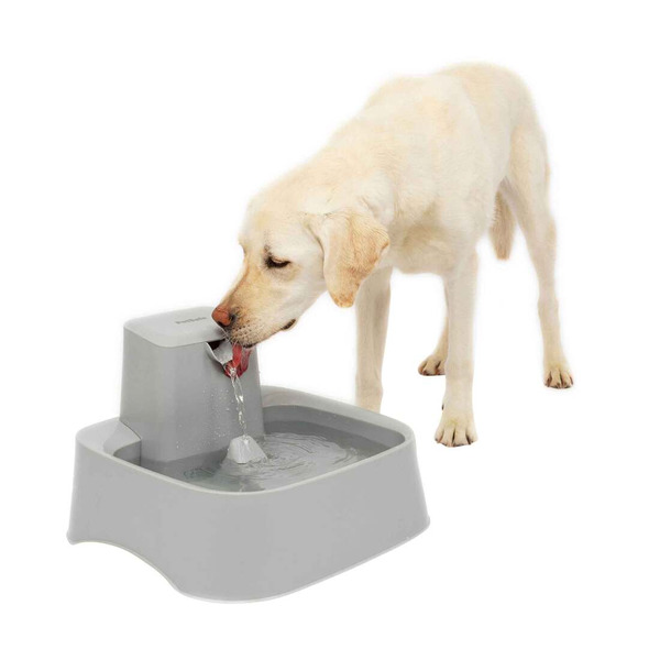 PetSafe Oasys 2 Gallon Pet Fountain