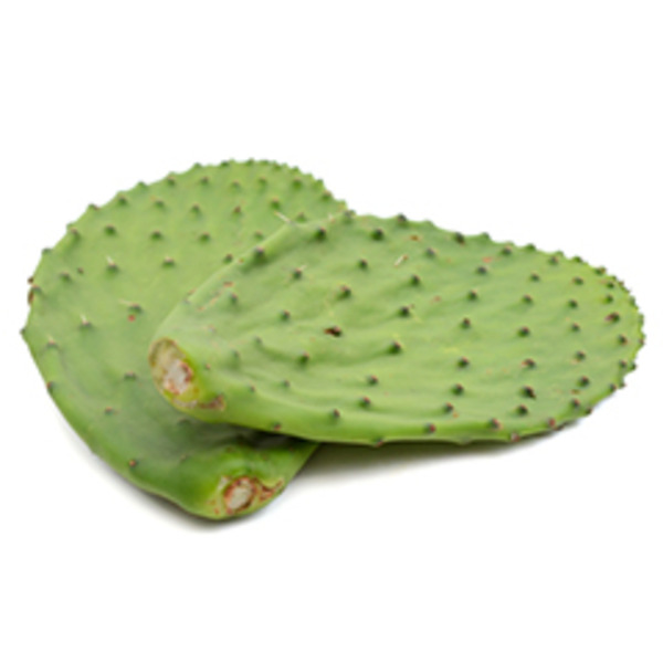 Cactus Leaf