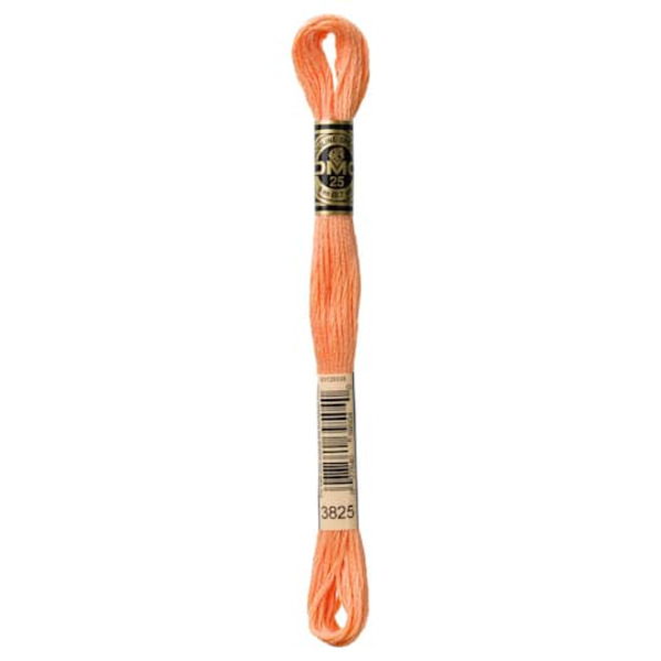 DOLLFUS-MIEG & Compagnie DMC 6-Strand Pale Pumpkin Embroidery Cotton