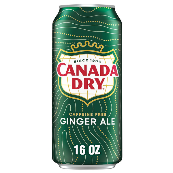 Canada Dry Ginger Ale Soda, 16 fl oz can Same-Day Delivery