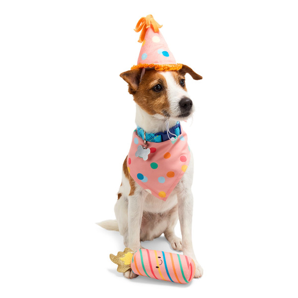 Youly Birthday Party Set for Dogs, L/XL - Pink