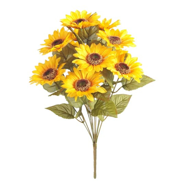 Ashland Sunflower Bush