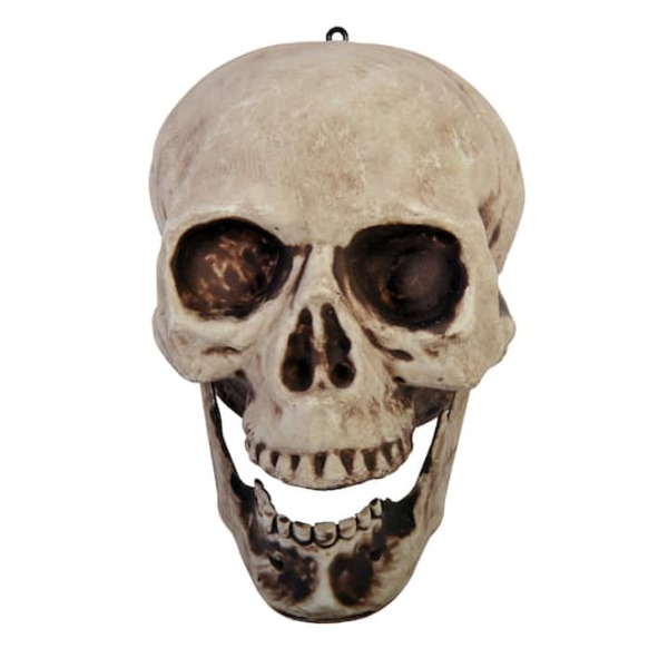 Ashland Articulated Jaw Skull Tabletop Décor