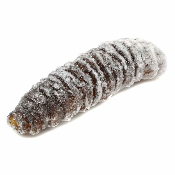 Premium Black Sea Cucumber