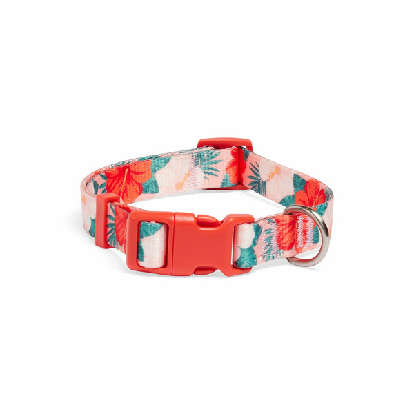 Youly Hawaiian the Classic S Dog Collar