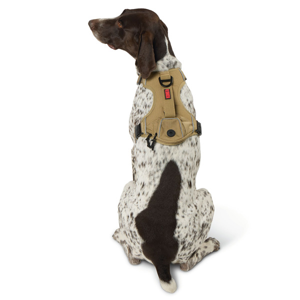 Kong Waste Bag Dog Harness, Medium - Tan