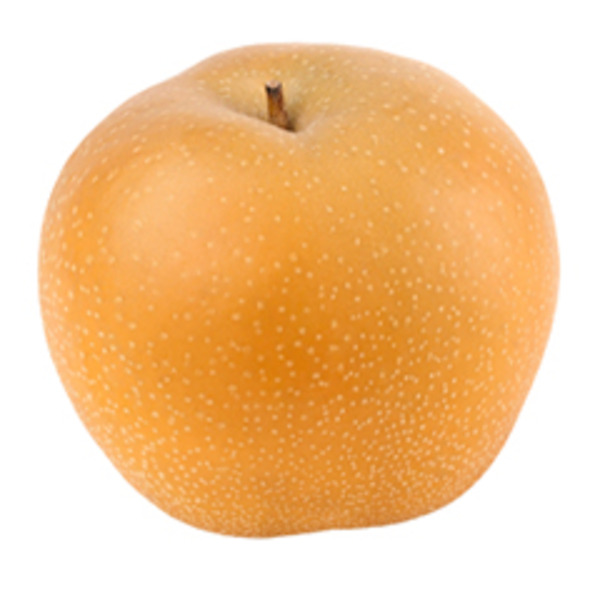 Asian Pear